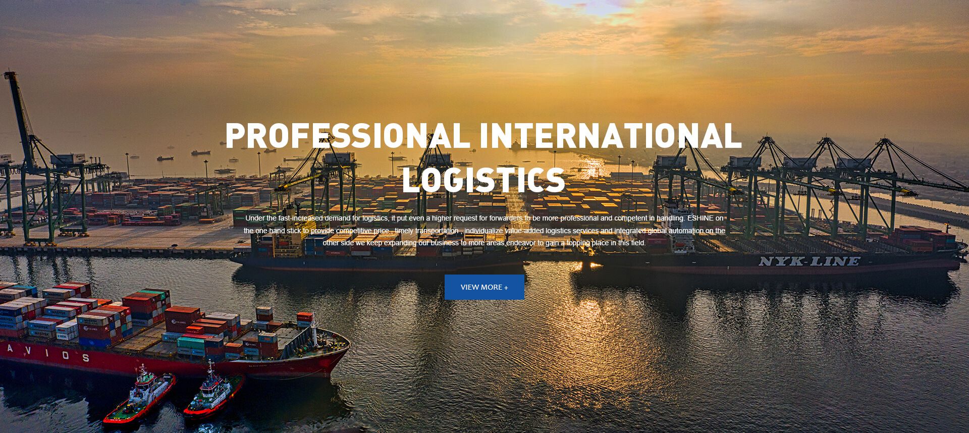 PROFESSIONAL INTERNATION LOGISTICS